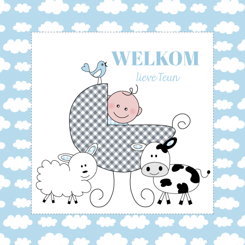 Felicitatie kaart geboorte zoon baby jongen kinderwagen blauw