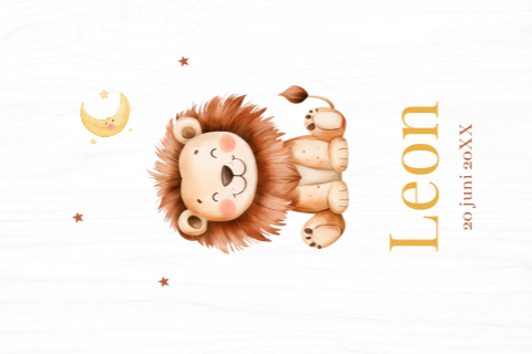 Memorybox hout met leeuwtje