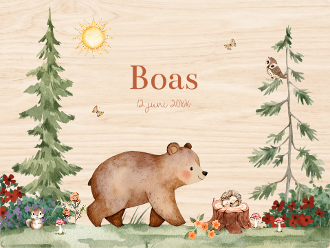 Memorybox hout bos dieren beertje