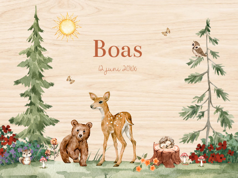 Memorybox hout bos dieren beertje