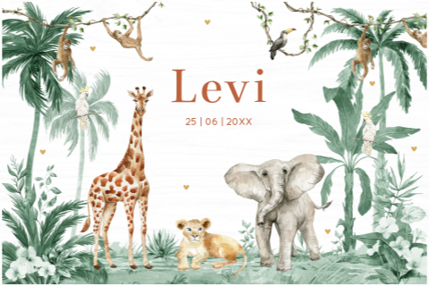 Memorybox geboorte hout jungle dieren groen