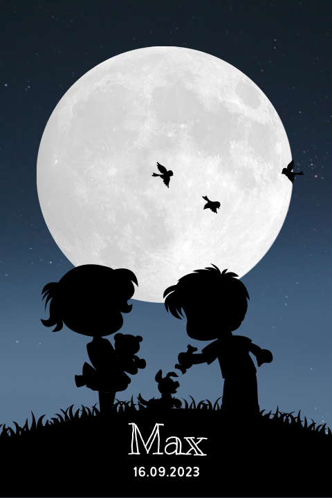 Geboortekaartje silhouet van broer en zus onder de volle maan