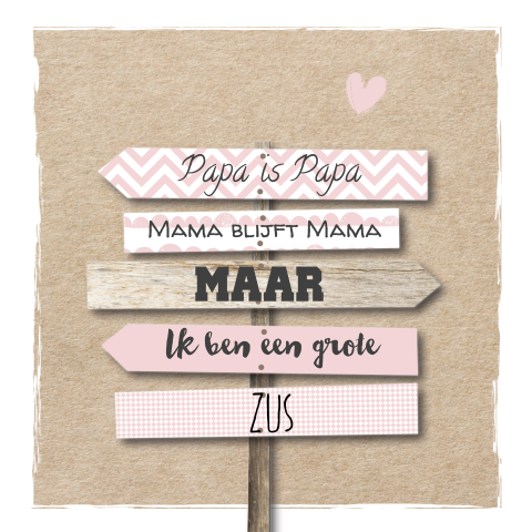 Hip kraft geboortekaartje zusje met wegwijsborden