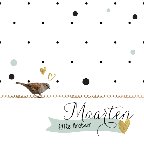Feestlijk geboortekaartje broertje geboren