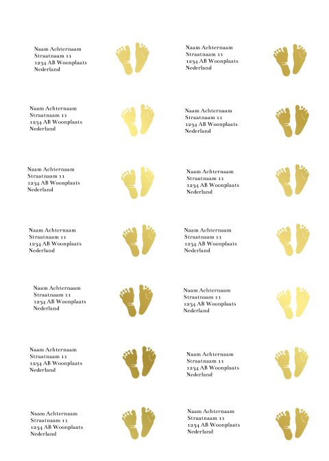 Adresstickers voor je geboortekaartje met goudfolie voetjes