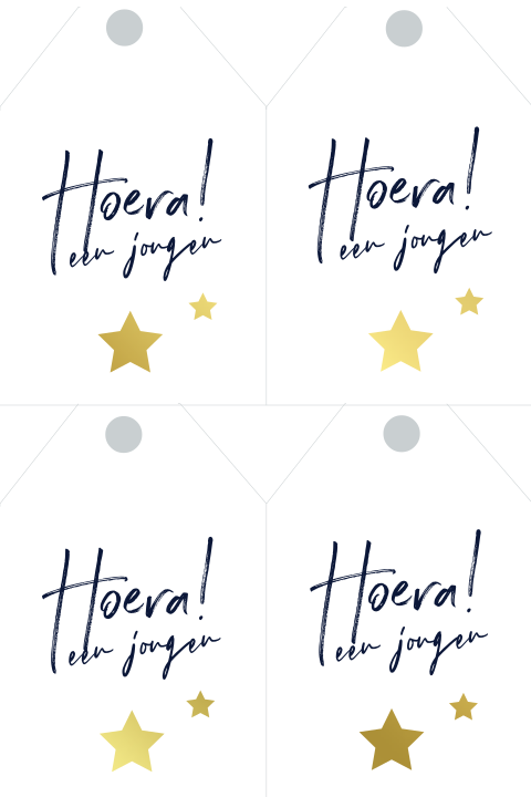 DIY langwerpig Hoera een jongen blauw en goudfolie