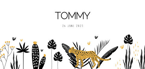 Panorama luipaard geboortekaartje broertje jungle