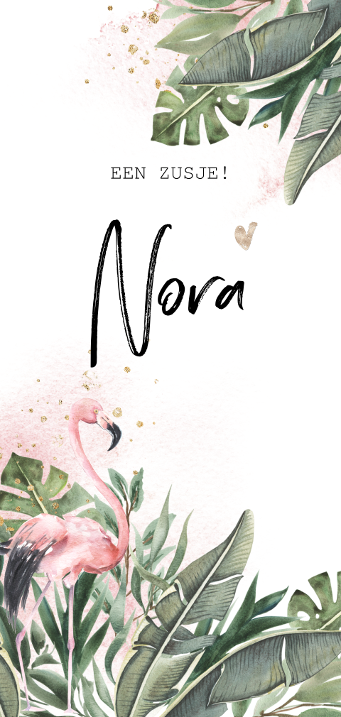 Tropical aquarel flamingo geboortekaartje zusje