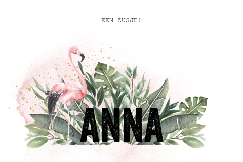 Tropical geboortekaartje zusje met flamingo en bladgroen