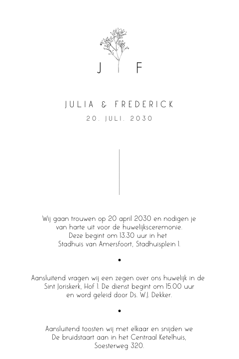 Klassieke trouwkaart met gipskruid