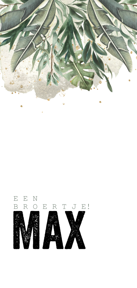 Geboortekaartje broertje tropical leaves