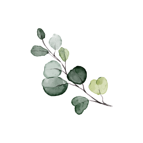 Sluitzegel eucalyptus blad