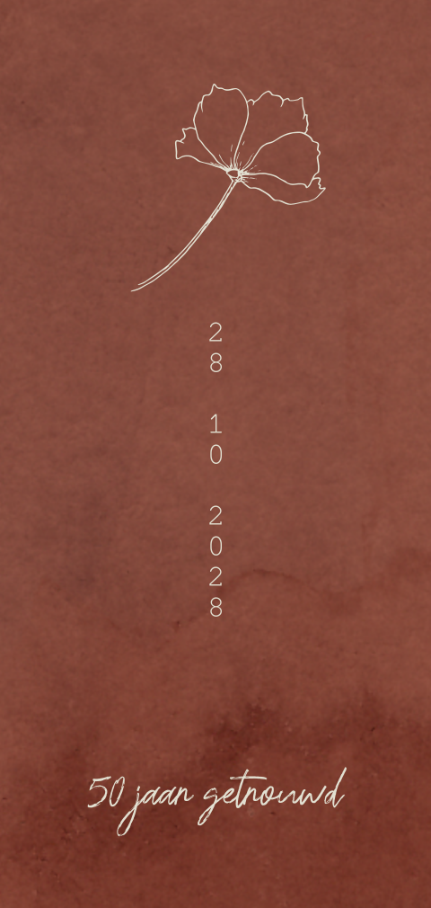 Uitnodiging huwelijks jubileum 50 terra langwerpig