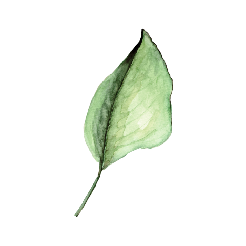 Sluitzegel botanisch blad