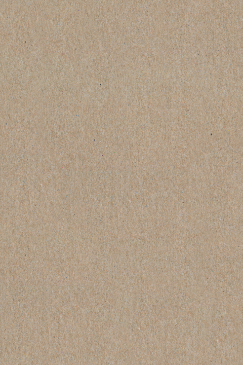 blanco staand enkel kraft