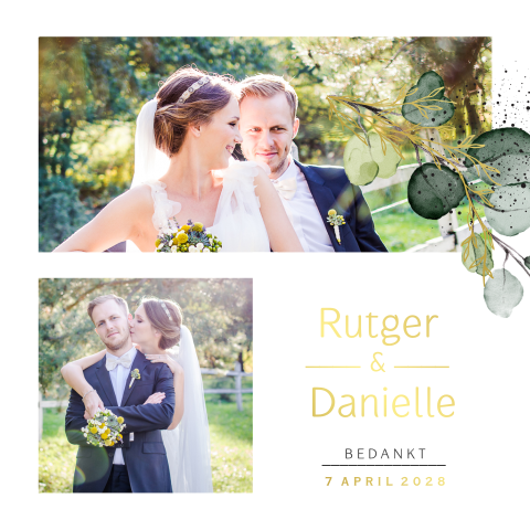 Eucalyptus watercolor bedankkaart foto's folie bladgroen