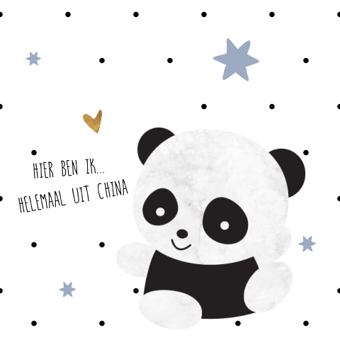 Zwart wit adoptiekaartje jongen met panda beer