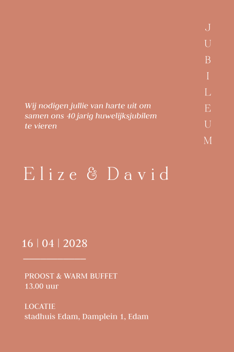 Modern clean enkele uitnodiging terracotta zelf maken