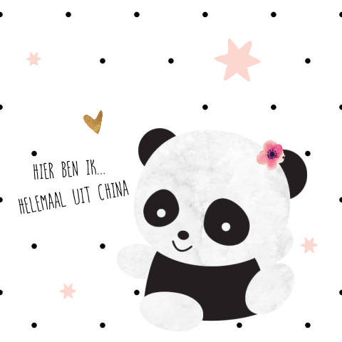 Zwart wit adoptiekaartje meisje met panda