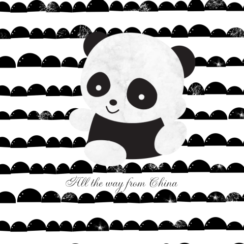 Jongens aankomstkaartje panda en half moon design