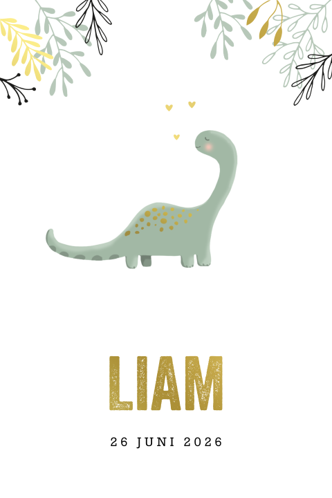 Hip geboortekaartje voor een jongen met dino en foliedruk