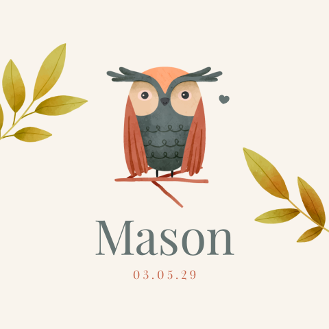 Geboortekaartje jongen met een wijze uil en takjes