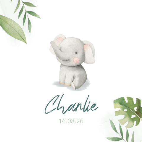 Geboortekaartje olifant voor een baby jongen of meisje 