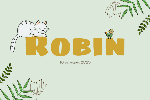 Geboortekaartje kat en vogel op naam jongen