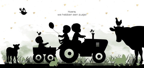 Lief geboortekaartje met drie broertjes op de tractor
