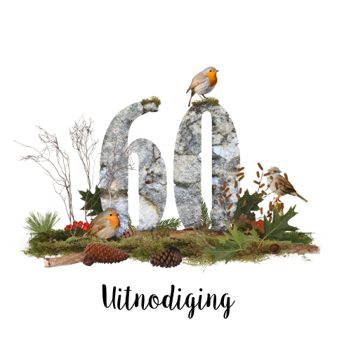 Uitnodiging voor een 60e verjaardag met roodborstjes