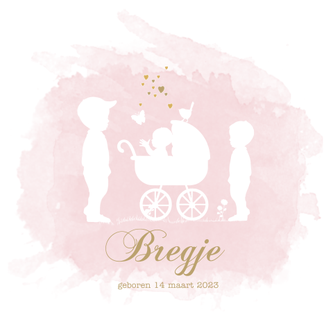 Profiel geboortekaartje kindje zusje 3de kindje