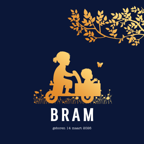 Geboortekaartje 2e kindje zusje met broer koperlook