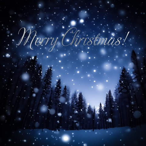 Kerstkaart winters woud en sneeuw