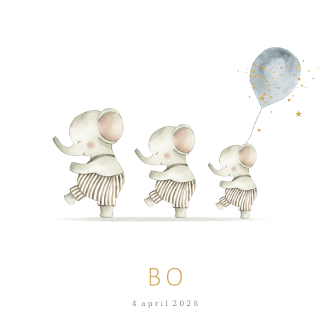 Geboortekaartje derde kindje met olifanten en ballon