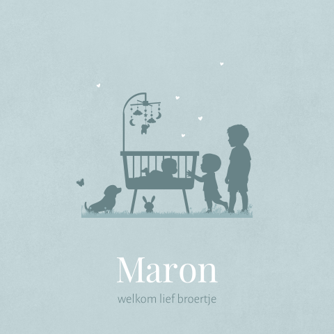 Derde kindje geboortekaartje jongen met 3 broertjes ledikant