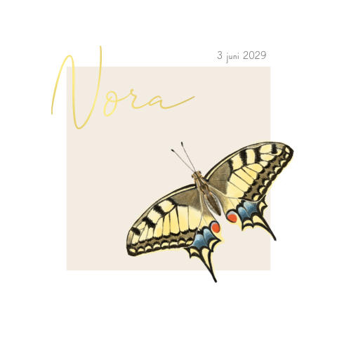 Geboortekaartje voor een meisje Koninginnenpage vlindertje