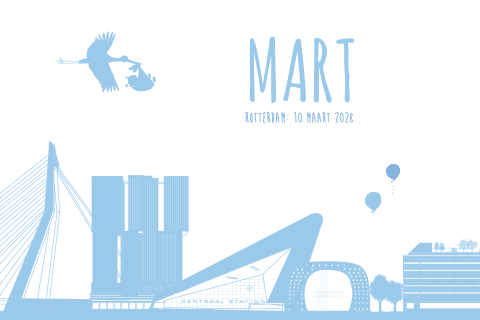 Geboortekaartje jongen Rotterdam silhouet Erasmusbrug markthal station