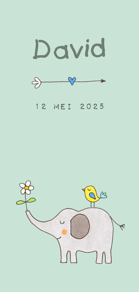 Geboortekaartje jongen olifant vogel