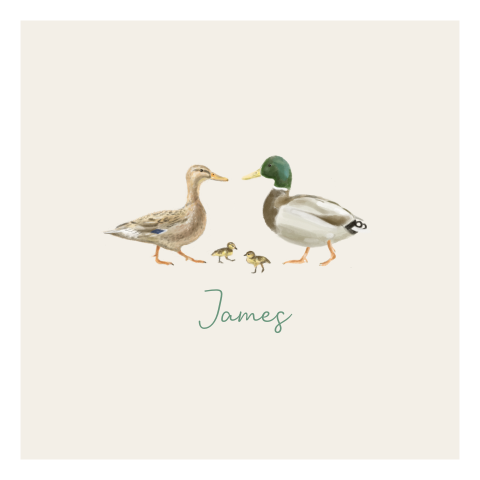 Geboortekaartje jongen tweede kindje eendenfamilie