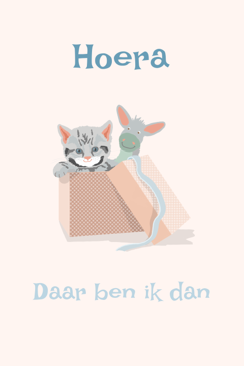 Geboortekaartje voor een meisje met poesje en knuffel