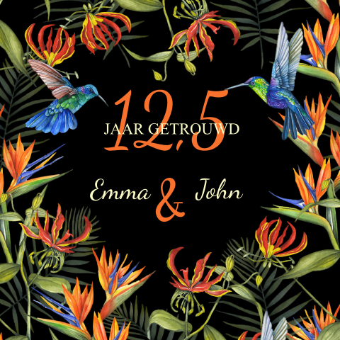 Hummingbirds uitnodiging12,5 jaar getrouwd