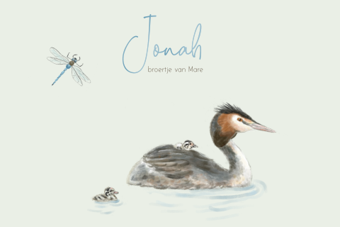 Geboortekaartje tweede kindje jongen met een fuut