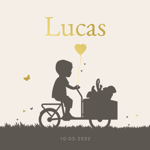 Geboortekaartje 2e kindje meisje in bakfiets met grote broer