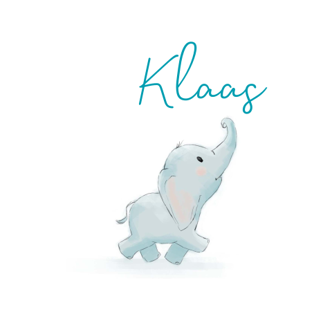 Geboortekaartje voor jongen met lief olifantje