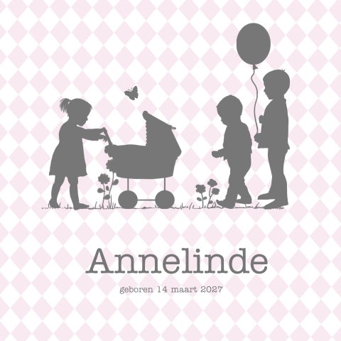 Babykaartje meisje 4e kindje zusje en broertje