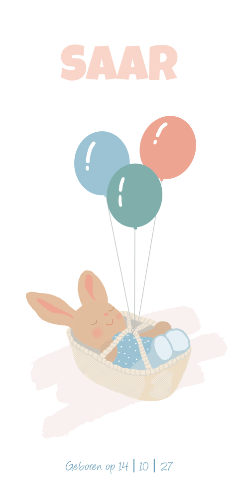 Geboortekaartje meisje met konijntje in een mandje