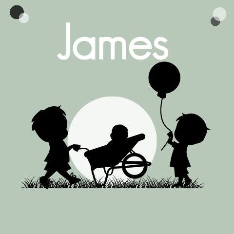 3e kindje geboortekaartje broertje kruiwagen