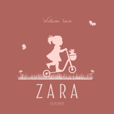 Geboortekaartje meisje op een stepje