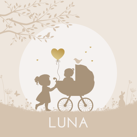 Geboortekaartje 2e kindje meisje in kinderwagen met zus