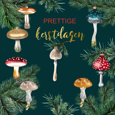 Kerstkaart groen met paddestoel